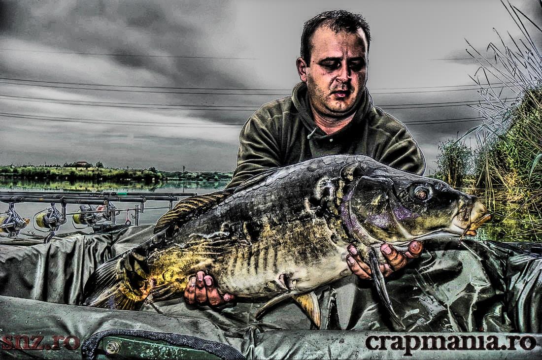 Senior Trophy - 2013 - 1011932hdrmode2.jpg